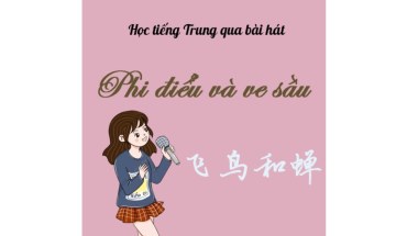 Học tiếng Trung qua bài hát Phi Điểu Và Ve Sầu (飞鸟和蝉)